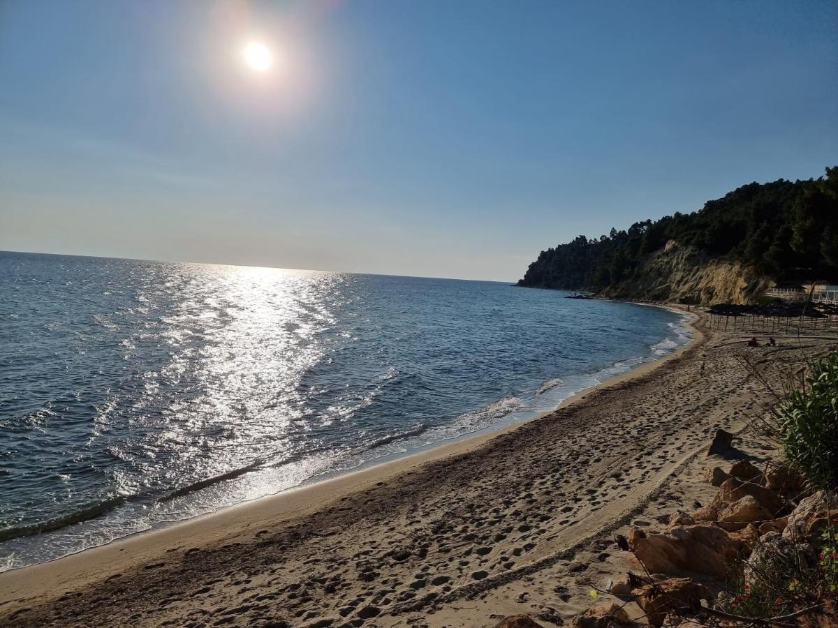 Beachfront Villa 100M From Sea For Up To 10 Guests Siviri Eksteriør billede
